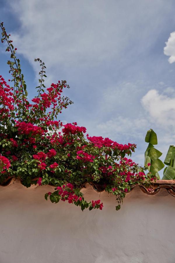Hotel Santos De Piedra - Maranatha บาริชารา ภายนอก รูปภาพ